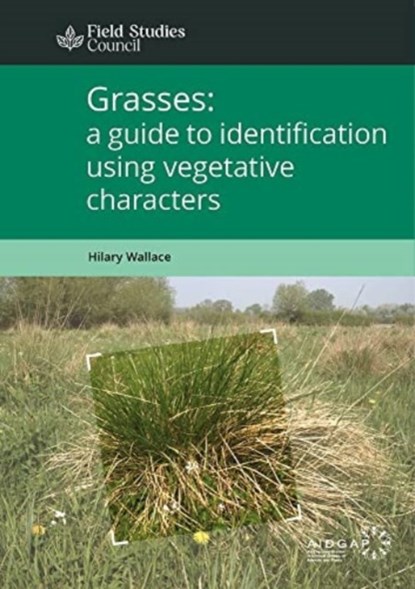 Grasses: a guide to identification using vegetative characters, Hilary Wallace - Paperback - 9781908819550