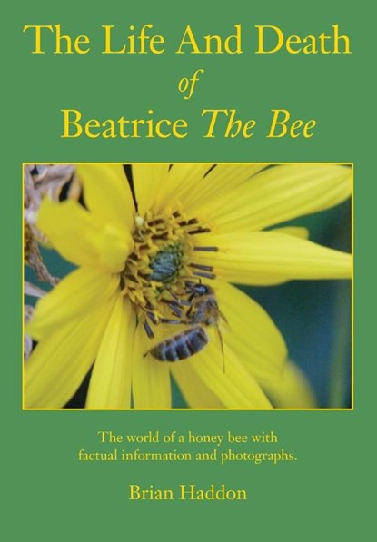 The Life and Death of Beatrice the Bee, Brian Haddon - Paperback - 9781908904539