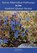 Some Alternative Pathways for the Hesitant Queen Rearer, Ben Harden - Paperback - 9781908904553