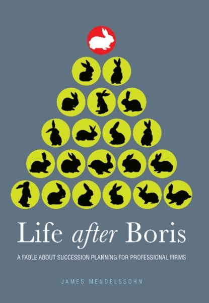 Life after Boris, James Mendelssohn - Paperback - 9781909116047