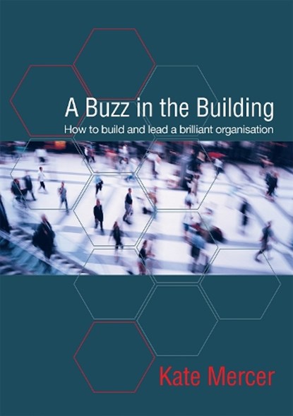 A Buzz in the Building, Kate Mercer - Paperback - 9781909116566