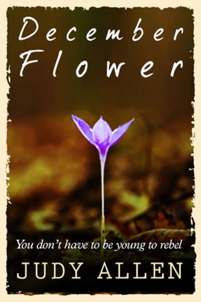 December Flower, Judy Allen - Ebook - 9781909121829