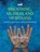 Breathing: The Bridge to Embodiment, Bill Harvey - Paperback - 9781909141865