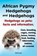 African Pygmy Hedgehogs and Hedgehogs. Hedgehogs as Pets, Elliott Lang - Paperback - 9781909151123