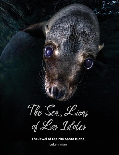 The Sea Lions of Los Islotes, Luke Inman - Paperback - 9781909455498