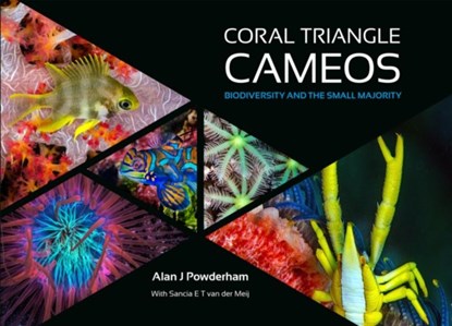 Coral Triangle Cameos, Alan J Powderham - Gebonden - 9781909455573