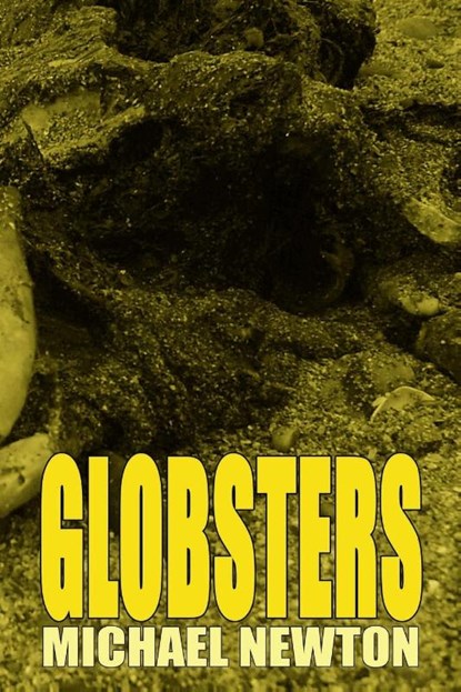 Globsters, Michael (Senior Lecturer Department of English University of Leiden) Newton - Paperback - 9781909488021