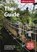 Eden Project: The Guide, niet bekend - Paperback - 9781909513129