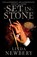 Set in Stone, Linda Newbery - Paperback - 9781909531550