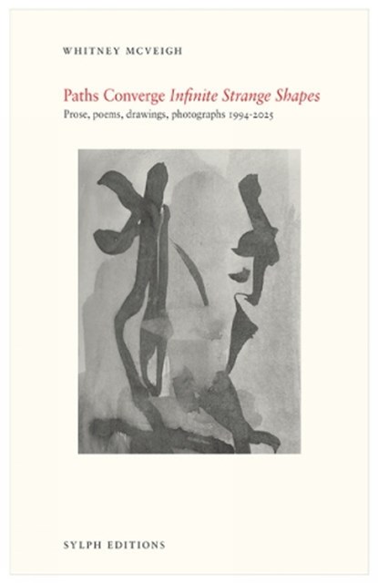 Paths Converge: Infinite Strange Shapes, Whitney McVeigh - Paperback - 9781909631496