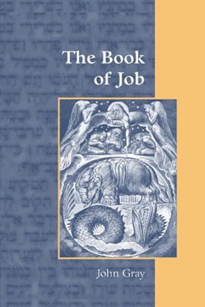 The Book of Job, GRAY,  Fellow John (Institute of Education University of London UK) - Paperback - 9781909697911