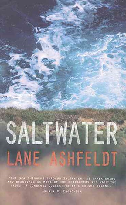 Saltwater, Lane Ashfeldt - Paperback - 9781909718340
