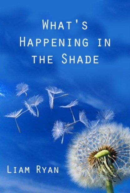 What'S Happening in the Shade, Liam Ryan - Paperback - 9781909718968