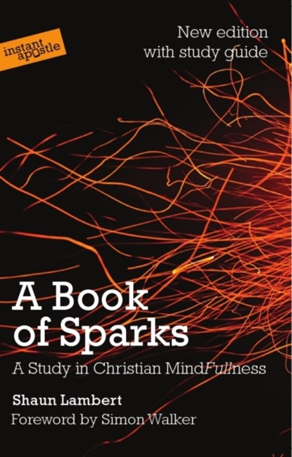 A Book of Sparks, Shaun Lambert - Paperback - 9781909728158