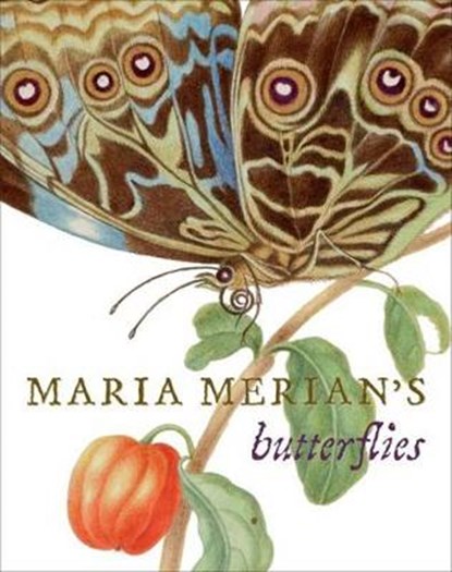 Maria merian's butterflies, kate heard - Overig Gebonden - 9781909741317