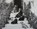 Royal Animals, Sally Goodsir - Gebonden - 9781909741713