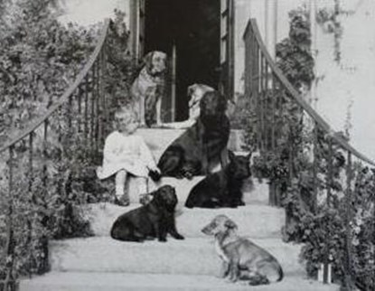 Royal Animals, Sally Goodsir - Gebonden - 9781909741713