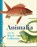 Animalia, Andrew Brown - Gebonden - 9781909741928