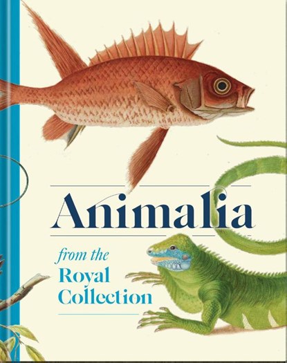 Animalia, Andrew Brown - Gebonden - 9781909741928