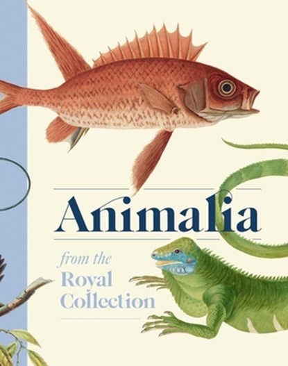 Animalia, Andrew Brown - Gebonden - 9781909741928