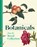 Botanicals, Alice Alder - Gebonden - 9781909741935