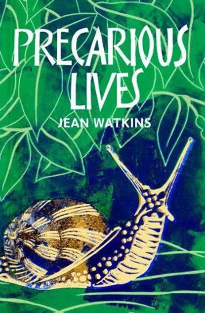Precarious Lives, Jean Watkins - Paperback - 9781909747418