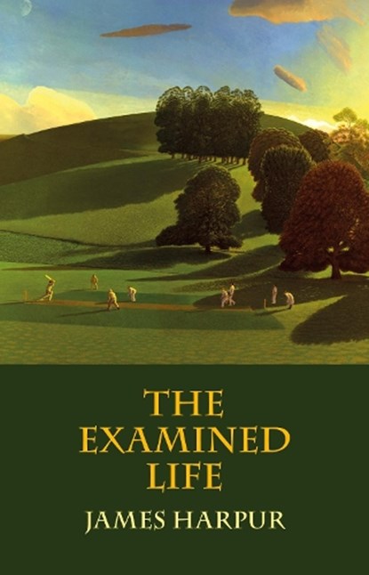 The Examined Life, James Harpur - Paperback - 9781909747876