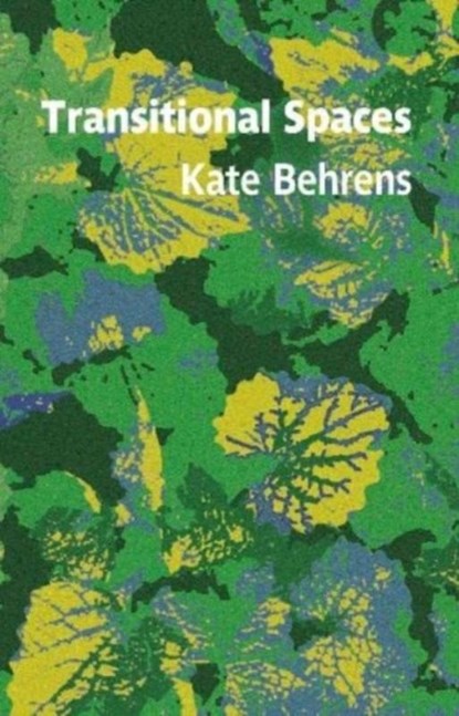 Transitional Spaces, Kate Behrens - Paperback - 9781909747944