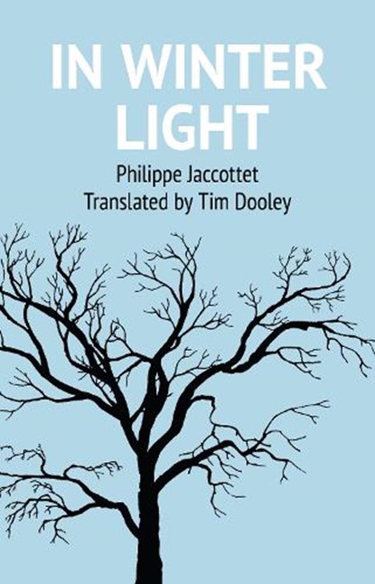 In Winter Light, Philippe Jaccottet - Paperback - 9781909747999