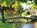 Cotswold Scene, Chris Andrews ; Fiona Danks - Paperback - 9781909759442