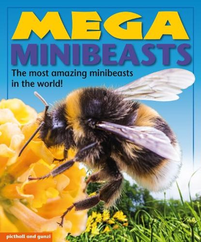 Mega Minibeasts, Nina Filipek - Paperback - 9781909763562