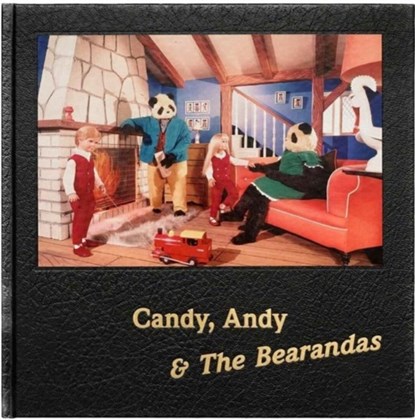 Candy, Andy & The Bearandas, Alan Dein - Gebonden - 9781909829213