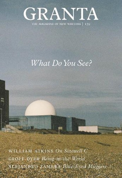 Granta 159: What Do You See?, Sigrid Rausing - Paperback - 9781909889477