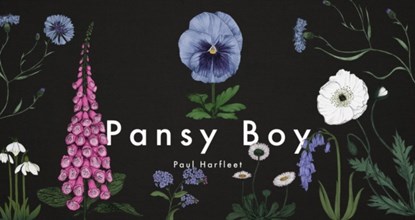 Pansy Boy, Paul Harfleet - Gebonden - 9781909954243