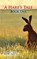 A Hare's Tale, AUTY,  Rob - Paperback - 9781910077146