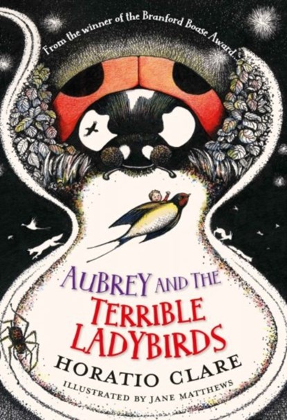 Aubrey and the Terrible Ladybirds, Horatio Clare - Paperback - 9781910080504