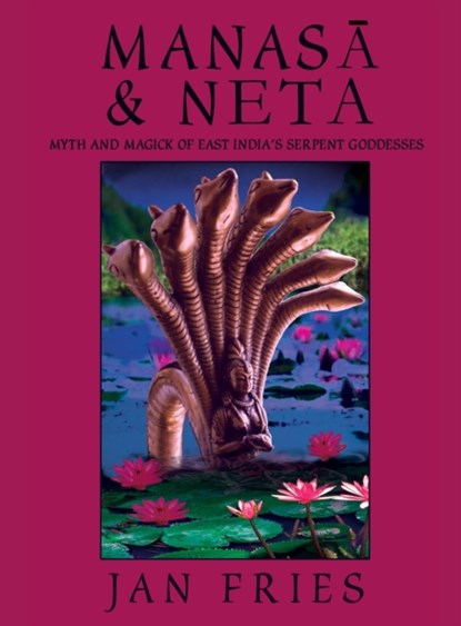 Manasa and Neta, Jan Fries - Gebonden - 9781910191156