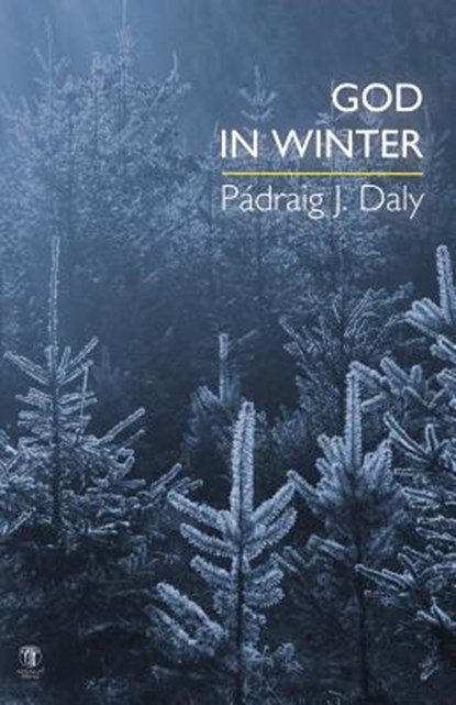 God in Winter, Padraig J Daly - Paperback - 9781910251065