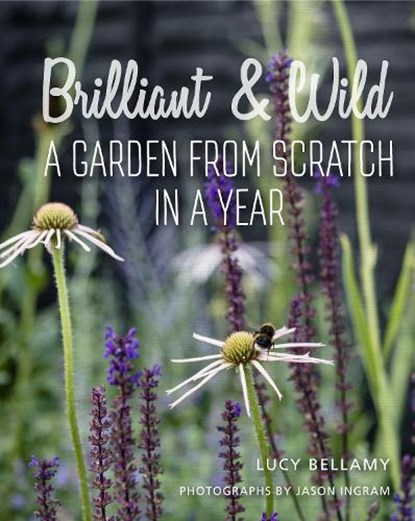 Brilliant and Wild, Lucy Bellamy - Gebonden - 9781910258637