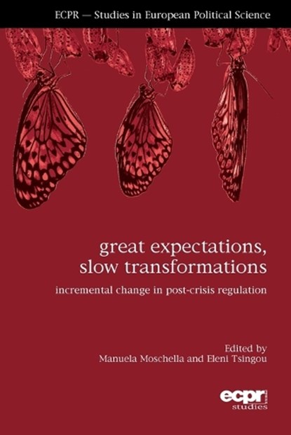 Great Expectations, Slow Transformations, Manuela Moschella ; Eleni Tsingou - Paperback - 9781910259290