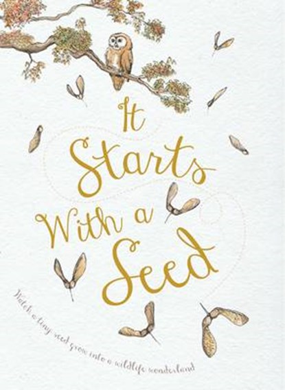 It starts with seed, jennie webber - Gebonden - 9781910277171