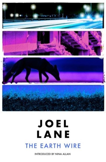 The Earth Wire, Joel Lane - Paperback - 9781910312575