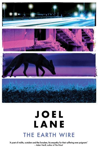 The Earth Wire, Joel Lane - Paperback - 9781910312575