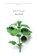Nettles, Adam Scovell - Paperback - 9781910312735