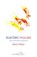 Electric Psalms, Kate Foley - Overig - 9781910323557