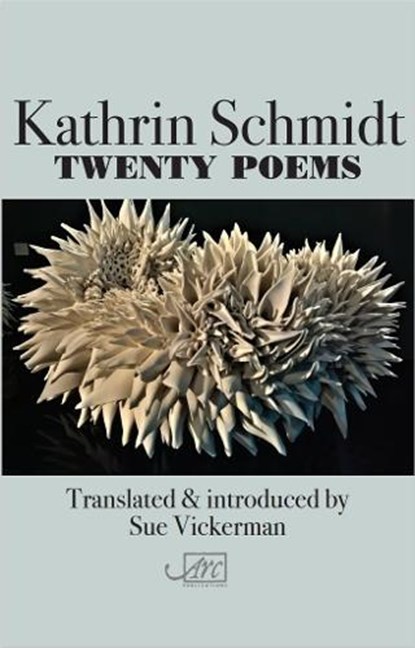 Twenty Poems, Kathrin Schmidt - Paperback - 9781910345443