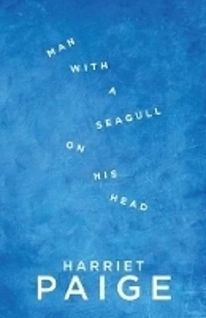 Man with a Seagull on His Head, Harriet Paige - Paperback - 9781910422298