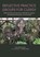 Reflective Practice Groups for Clergy, Peter Madsen Gubi - Paperback - 9781910481059