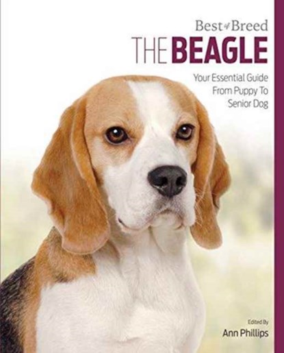 Beagle, Ann Phillips - Paperback - 9781910488393
