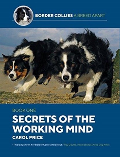 Secrets Of The Working Mind, Carol Price - Paperback - 9781910488461